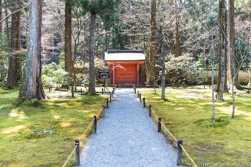 20150313_114403 D4S.jpg - Gardens, Sanzen-in Temple